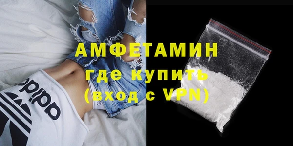 СК Алексин