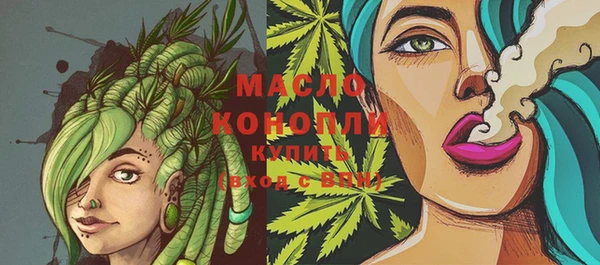 СК Алексин