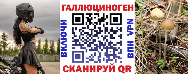 Галлюциногенные грибы Psilocybe Новая Ладога