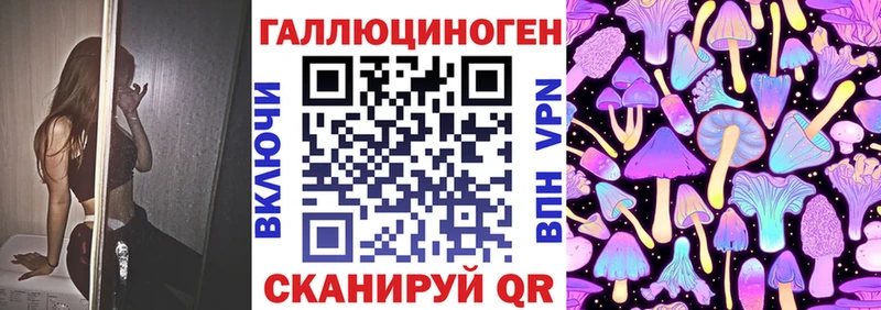 Псилоцибиновые грибы мицелий  что такое наркотик  Новая Ладога 